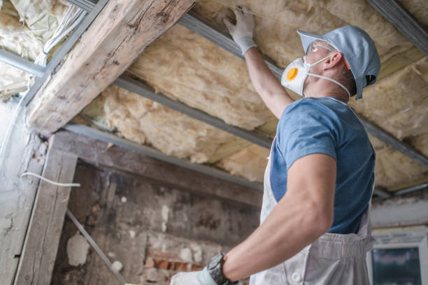 Best Insulation Maintenance and Repair in Carle Place, NY